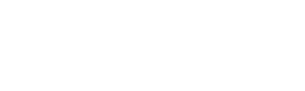 Sandeen and Lee Plastic Surgery